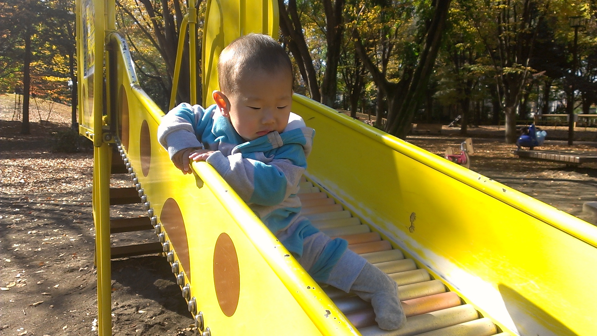 府中の森公園 ワッカチッタ