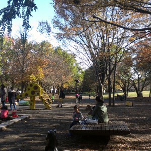 府中の森公園_playground10