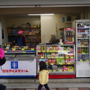 府中市 郷土の森公園 ワッカチッタ